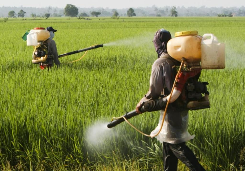 PESTICIDES WEEK ACTIVITIES AIM AT HIGHLIGHTING THE IMPORTANCE OF MITIGATING RISKS FROM EXPOSURE TO PESTICIDES
