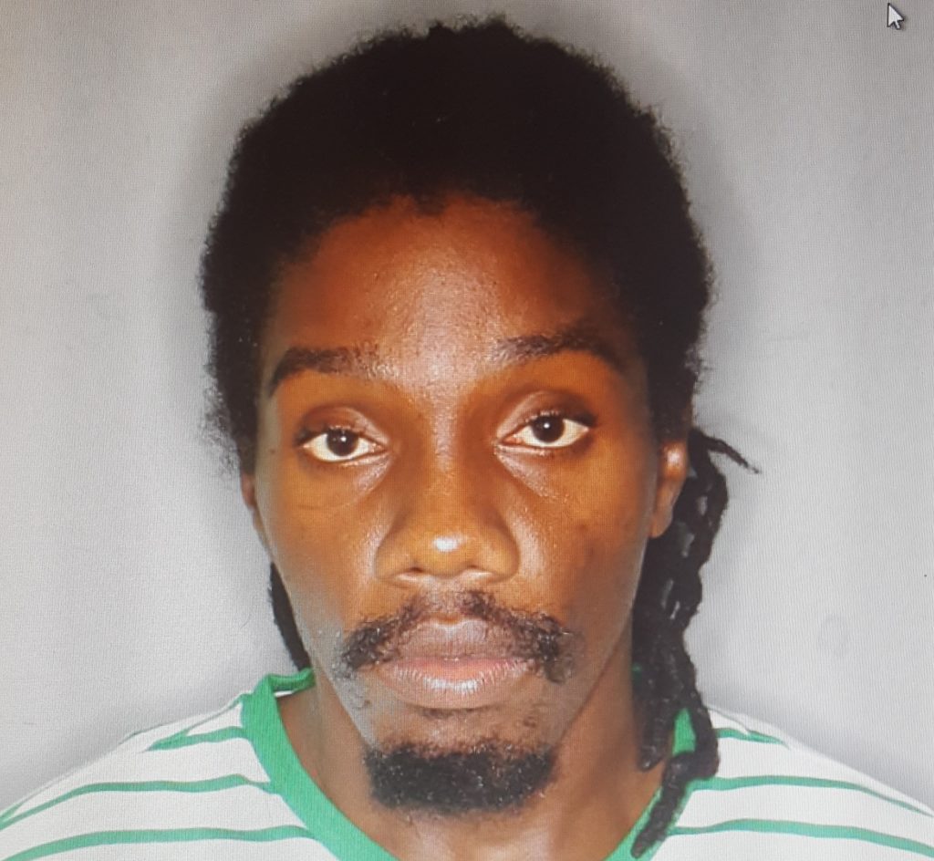 MAN CHARGED WITH MURDER IN GILLARD MEADOWS INCIDENT