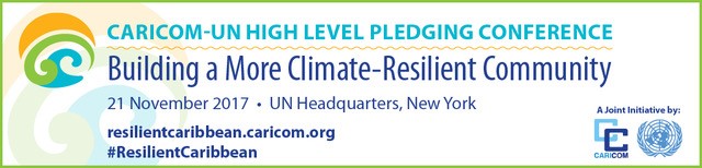 How to build back better after a hurricane with the next one a few months away