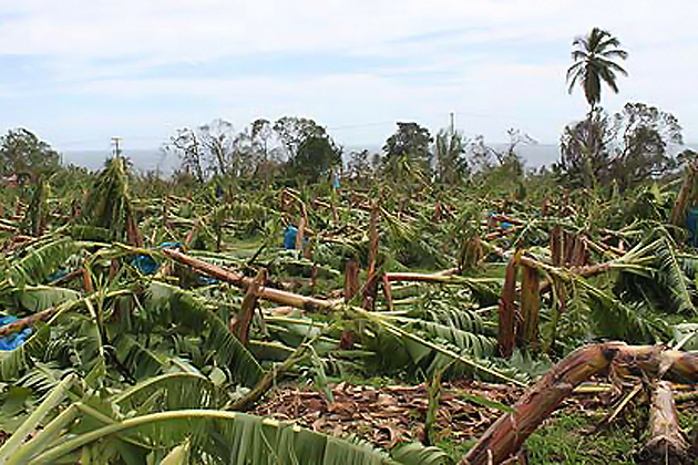 MINISTRY OF AGRICULTURE ASSISTS FARMERS AFFECTED BY HURRICANES