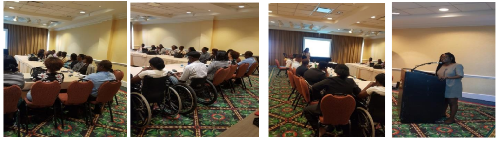 PRESS RELEASE MINISTRY OF FOREIGN AFFAIRS HOSTS NMRF AND CRPD WORKSHOPS