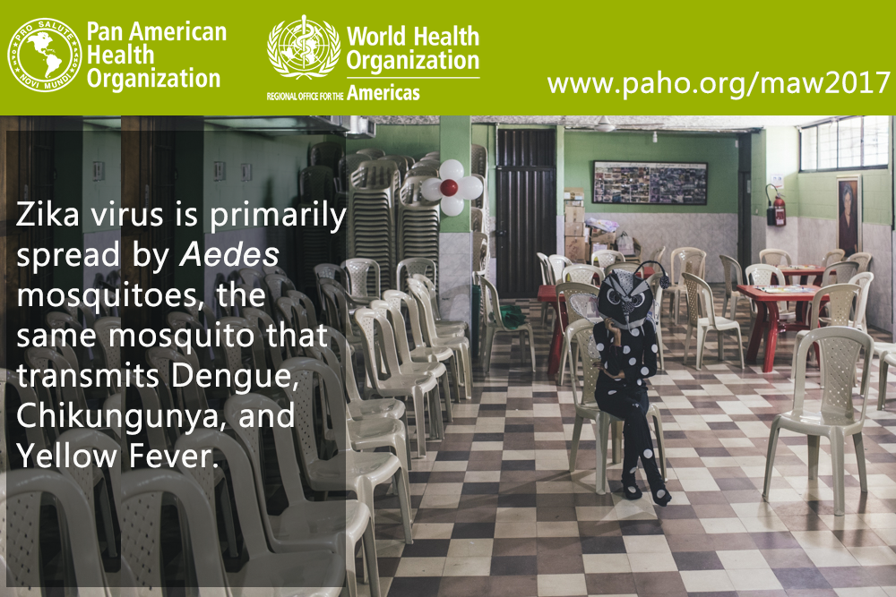 Department of Health Mosquito Awareness Release