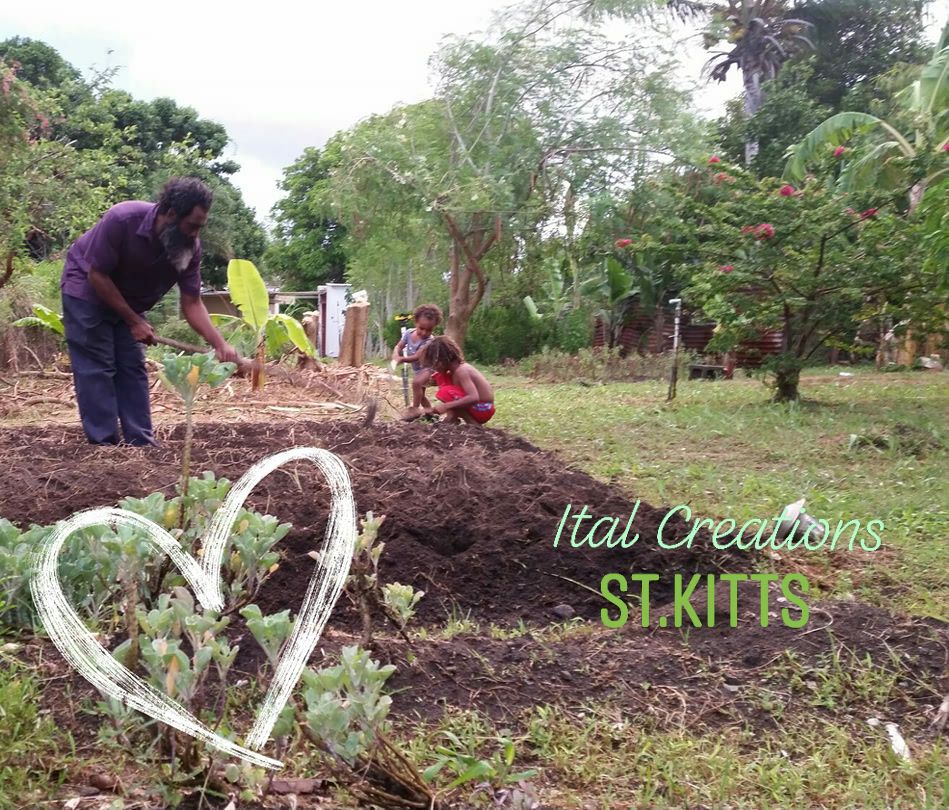 ST. KITTS TOURISM OFFICIAL BATS FOR GROWTH IN EXPERIENTIAL OPPORTUNITIES FOR TRAVELLERS