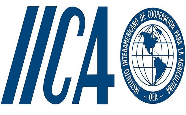 Bulletin: IICA Internship 2019