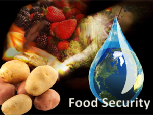 AGRICULTURAL SECTOR IN ST. KITTS-NEVIS CONTINUES TO BE ROBUST TO ENSURE SUSTAINED FOOD SECURITY