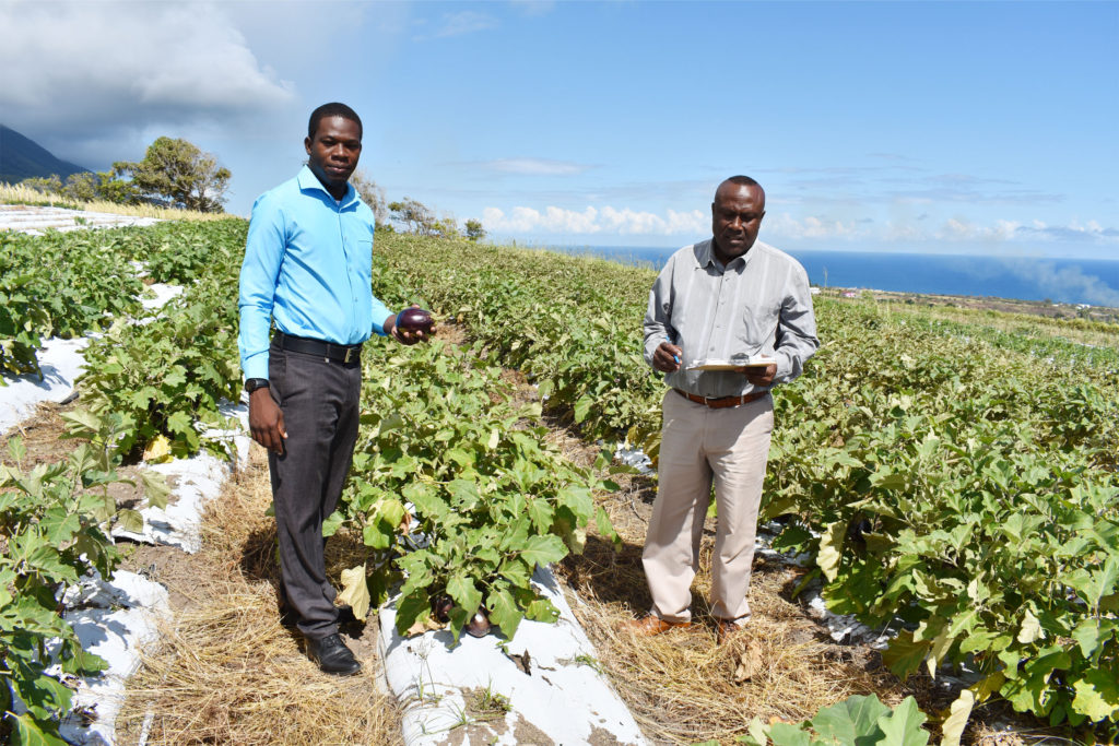 STEP is a great contributor to nation’s food security