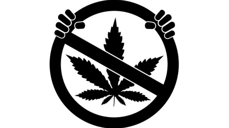 DRIVING UNDER THE INFLUENCE OF DRUGS IS CONSIDERED A MATTER OF PUBLIC HEALTH, SAYS SENATOR PHIPPS