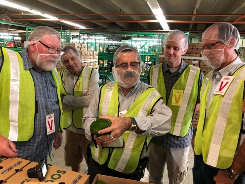 Technological advances are revolutionizing regional trade in Mexican avocados