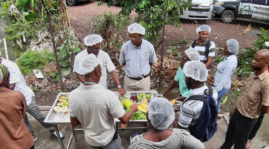 Grenada fresh produce inspectors strengthened their capacity to conduct inspection work