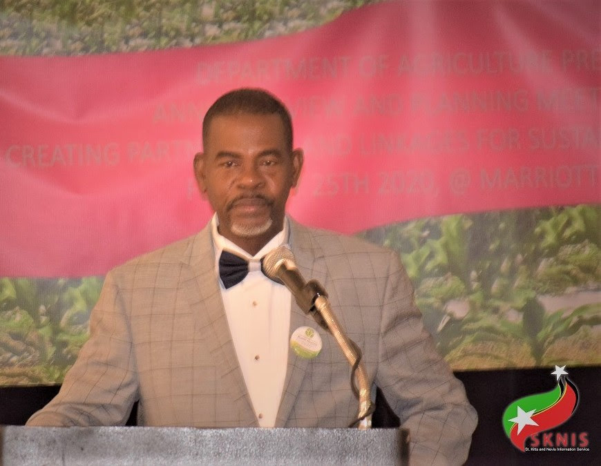 AGRICULTURE IN ST. KITTS YIELDS A 37.5 PERCENT INCREASE FOR 2019 OVER 2018