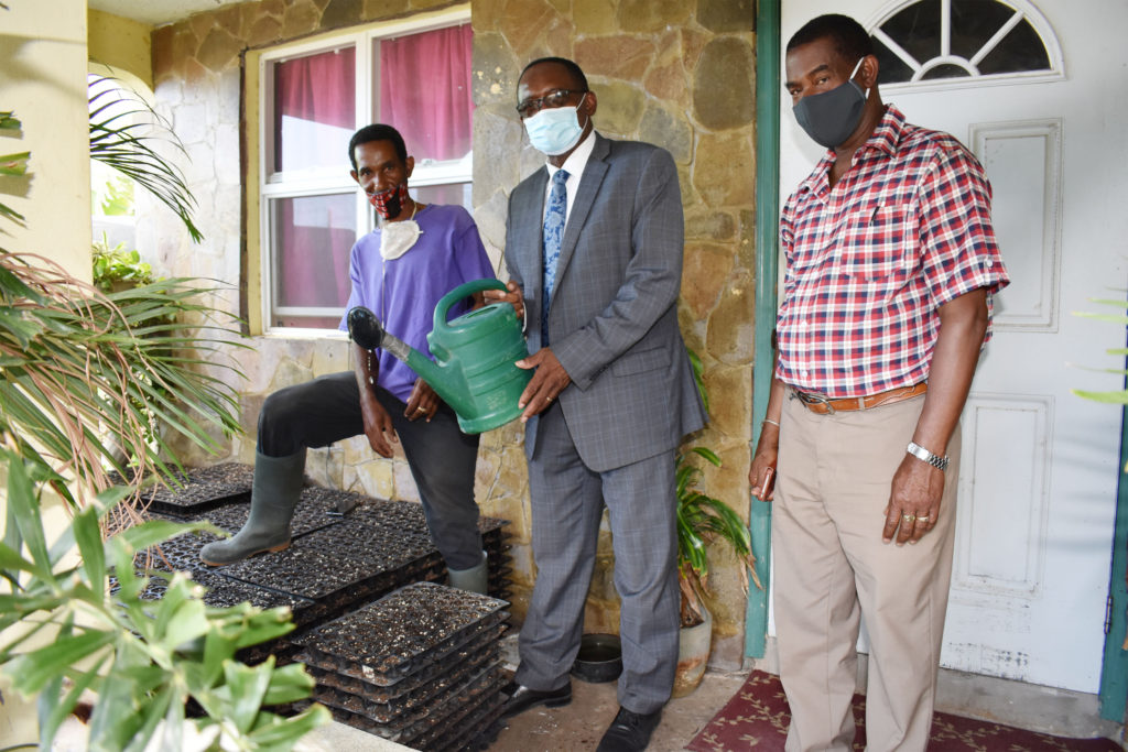 Agriculture Minister Hamilton optimistic agriculture production will increase in 2020