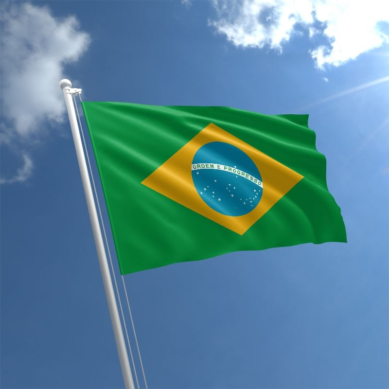 OAS Scholarships available to study in Brazil