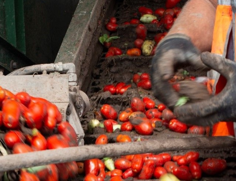 PROCAGICA boosts infrastructure used for wet coffee pulping in Nicaraguan municipalities