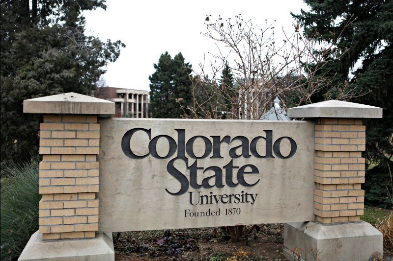 GS-OAS-SEDI-DHDEE-PAEC Scholarships available for Colorado State University