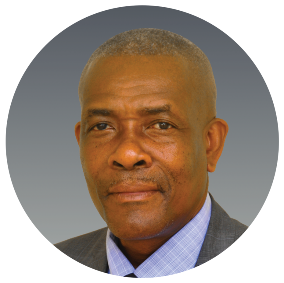 DECISION ON PROSECUTION OF BRIBERY AND TREATING OFFENCES AGAINST EUGENE HAMILTON