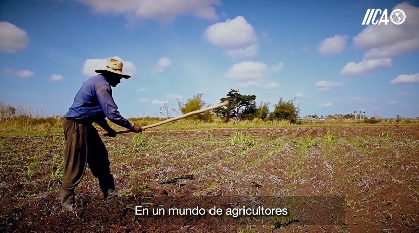 “The sun will shine brighter, tomorrow will be better”: Still relevant, The Farmer’s Anthem brings hope to the Caribbean