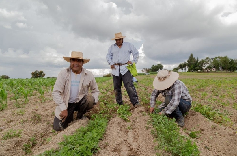 Specialists propose participatory review of the Latin American and Caribbean territorial development model