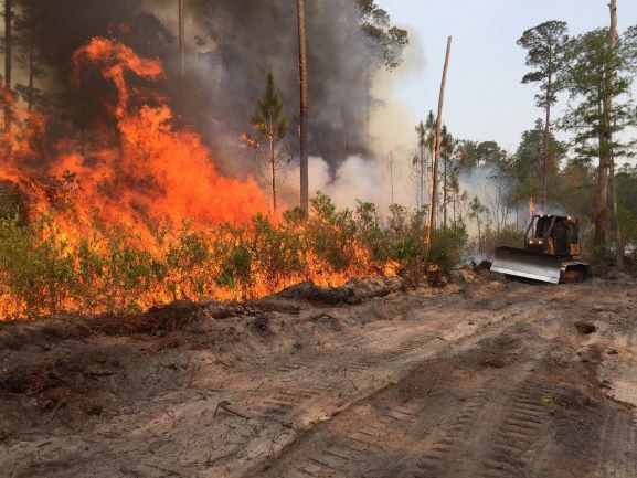 MOST WILDFIRES IN THE FEDERATION ARE DELIBERATELY LIT; FIRE DEPARTMENT CALLS ON CULPRITS TO STOP