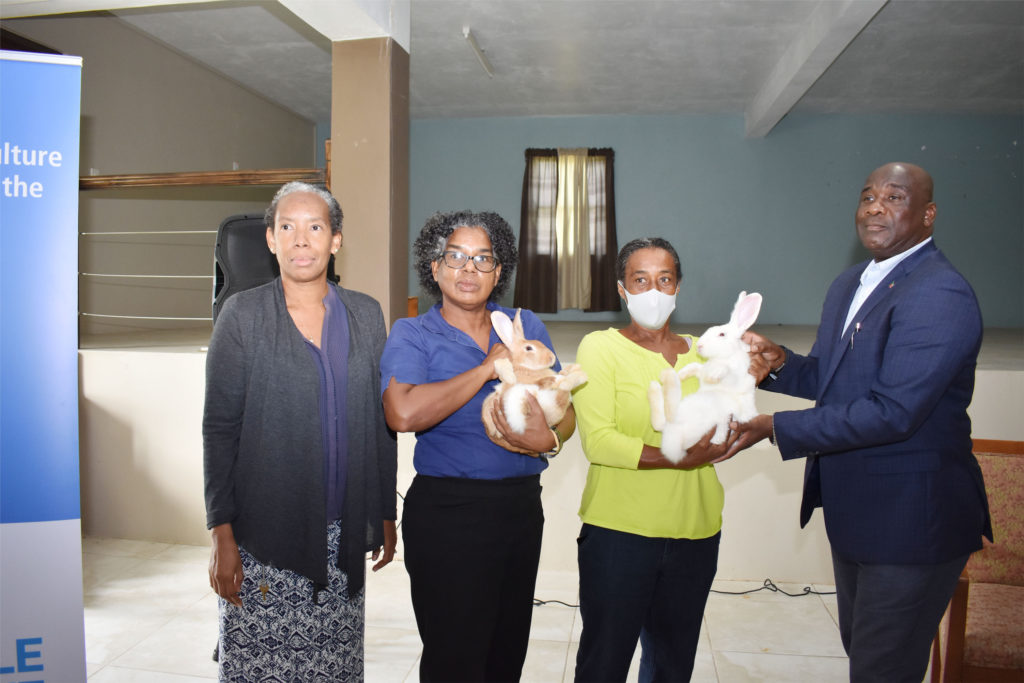 IICA Rabbit Rearing Project beneficiaries to attend workshop on agriculture, health and food safety