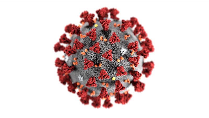 ST. KITTS AND NEVIS ENTERS STAGE OF COVID-19 COMMUNITY SPREAD