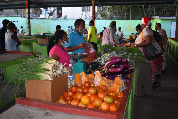 GOVERNMENT CONTINUES TO PROVIDE ONGOING SUPPORT TO THE AGRICULTURE SECTOR AND SMALL BUSINESSES