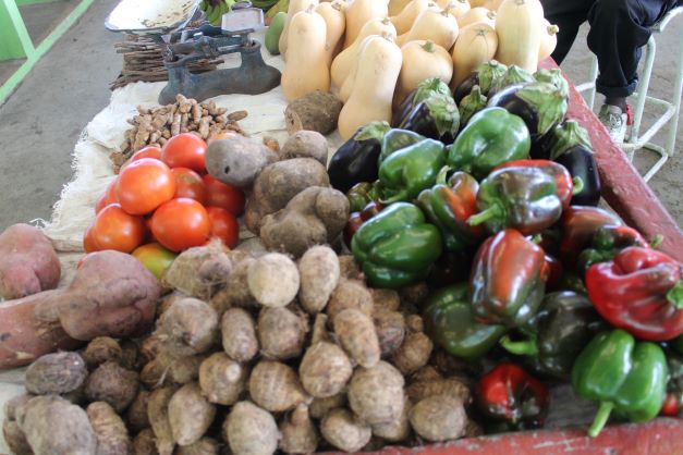 AGRICULTURE AND FISHERIES SECTORS SIGNIFICANTLY IMPROVED OVER 2020 STATISTICS, SAYS PM HARRIS