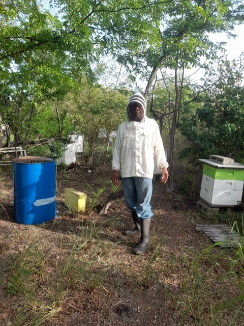 “Busy” uses his beekeeping business to benefit the community in Dominica