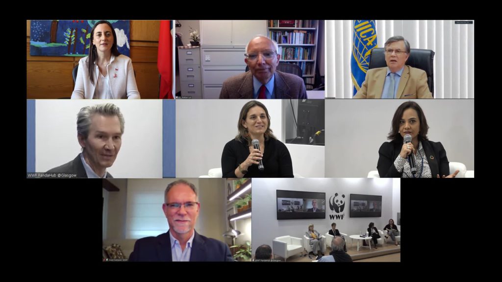 Experts issue a warning at COP 26: soil care and health must be part of the global climate change agenda