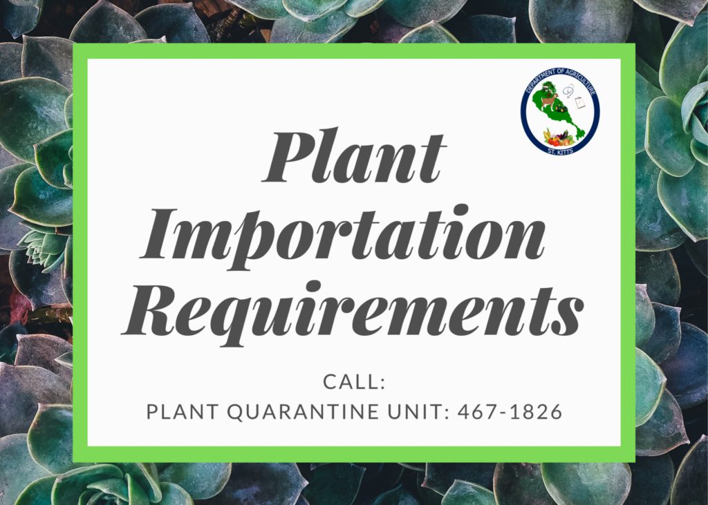 PLANT AND RELATED MATERIALS IMPORTATION REQUIREMENTS