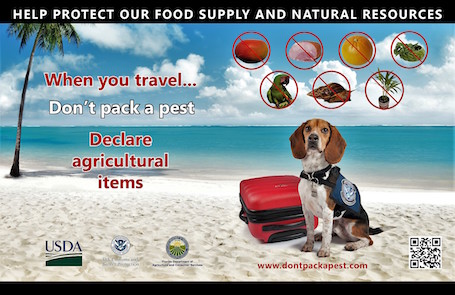 MINISTRY OF AGRICULTURE SPEARHEADING ANOTHER CAMPAIGN AIMED AT KEEPING DESTRUCTIVE PESTS AWAY