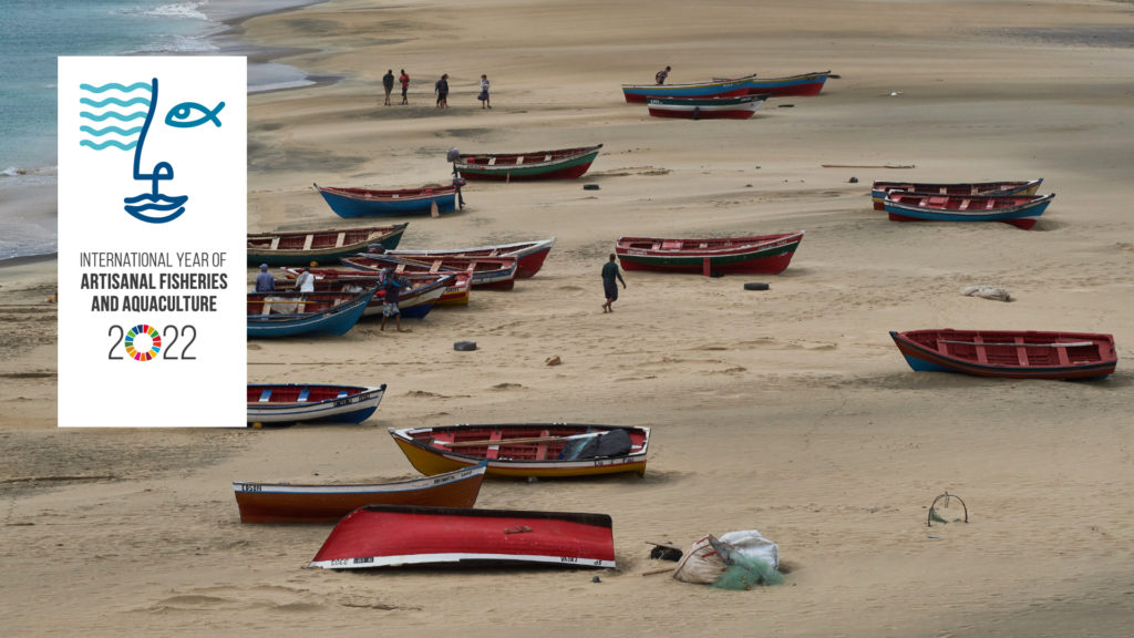 FAO Hooked on 24 Champions of Small-Scale Fisheries and Aquaculture