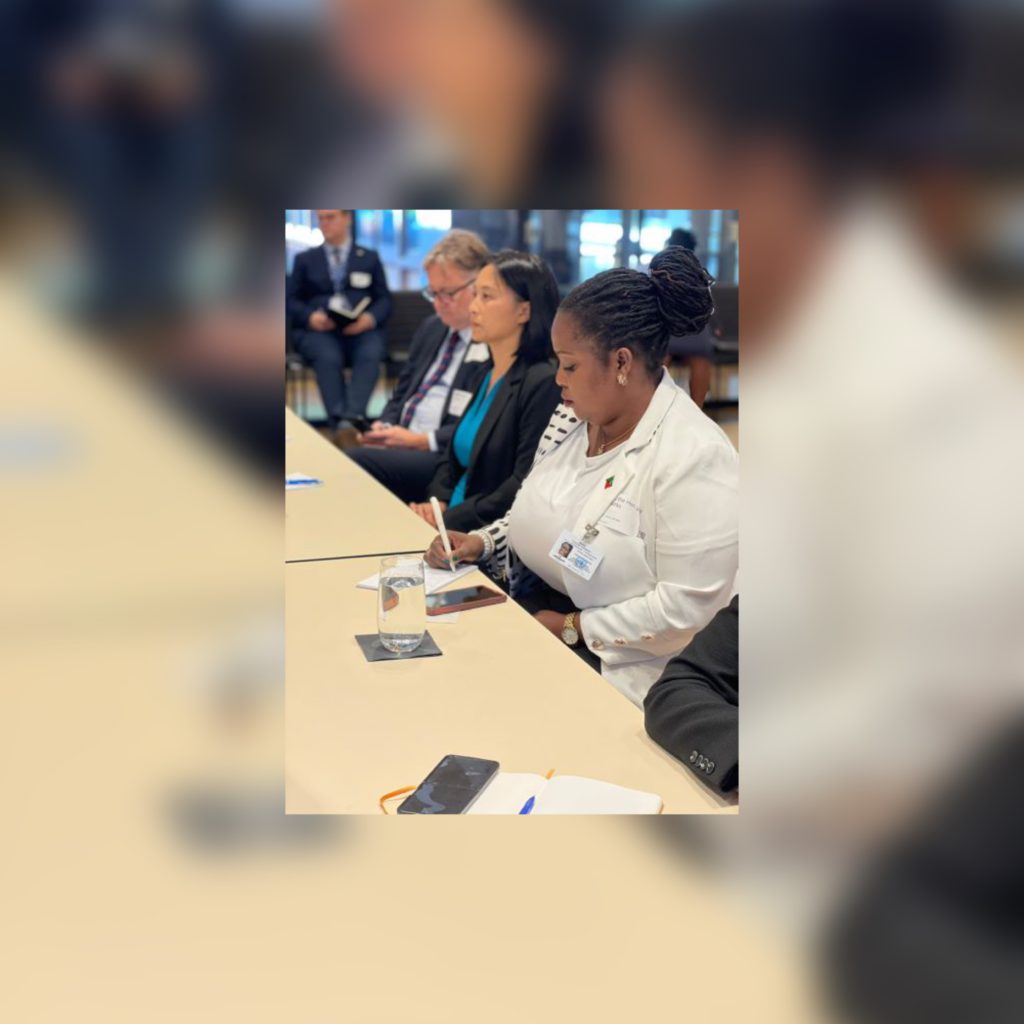 Minister of Environment sits in UN sessions designed to help St Kitts and Nevis move towards solutions for tackling pollution and single-use plastics