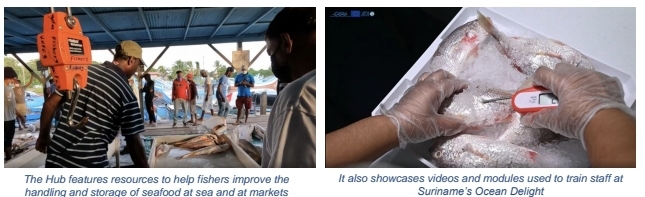 New Fisheries Food Safety Hub launched by IICA and CRFM under EU-funded project