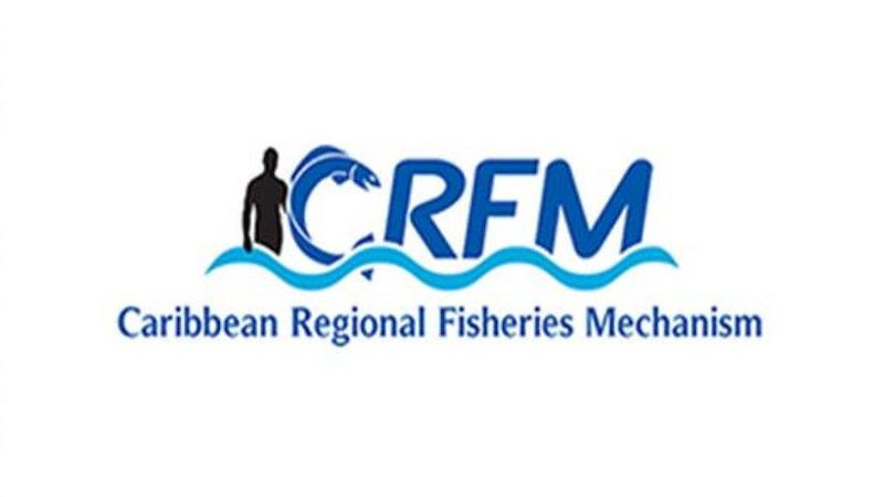 Seafood Value Chain Specialist – CARIBBEAN REGIONAL FISHERIES MECHANISM (CRFM) SECRETARIAT