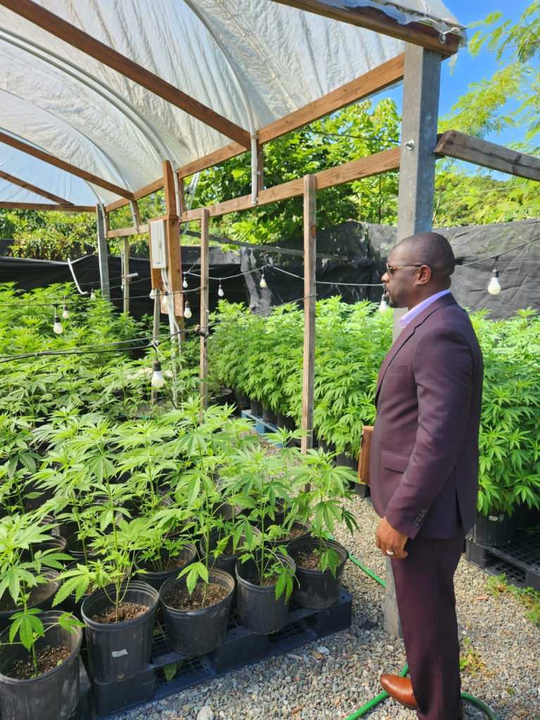 CANNABIS ACT NOW FULLY ACTIVATED