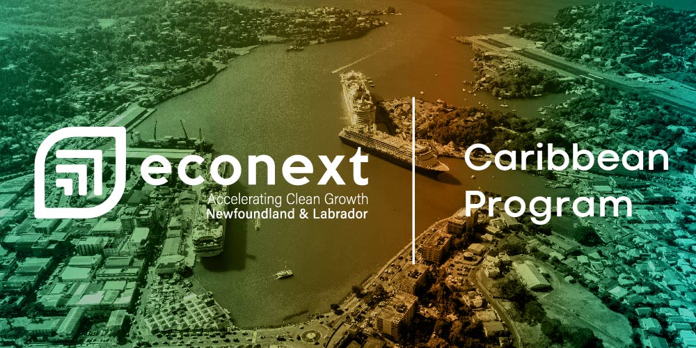 econext Strengthening Partnerships in the Caribbean
