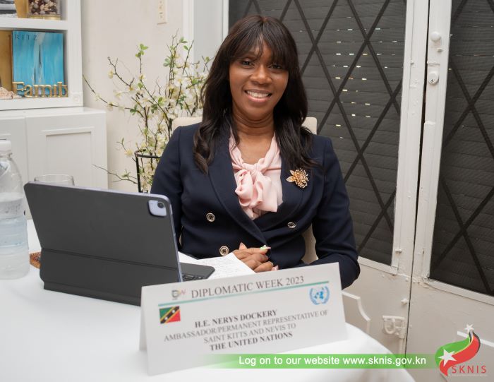 ST. KITTS AND NEVIS REPRESENTED AT THE UN’s SECOND FORUM ON PEOPLE OF AFRICAN DESCENT