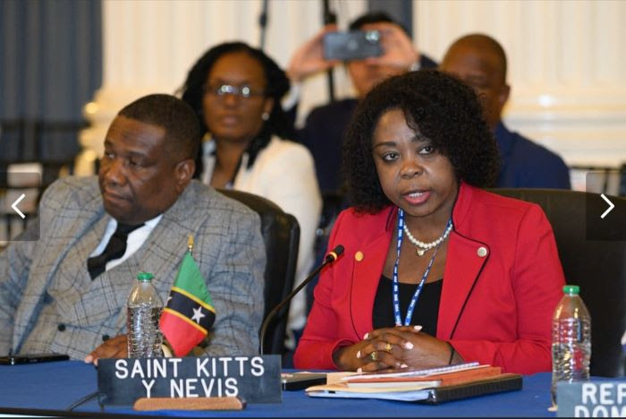 H.E. Sherry Tross delivers compelling National Statement to the OAS General Assembly