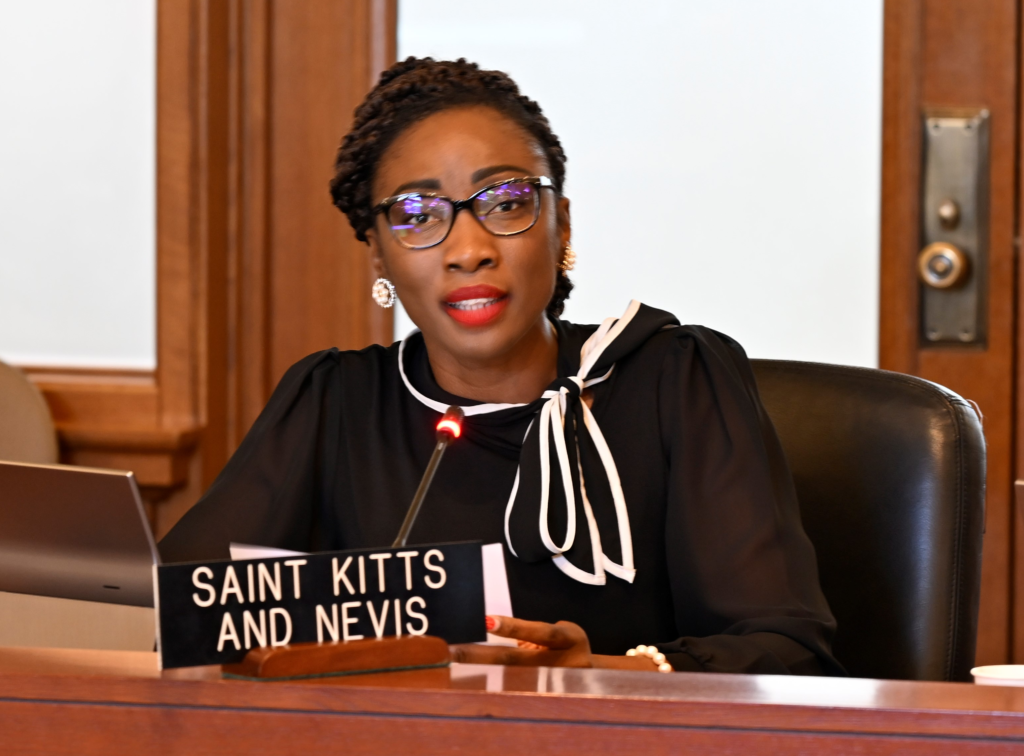 Permanent Mission of Saint Kitts and Nevis to the OAS pays homage to Former Governor-General Sir S. W. Tapley Seaton at Permanent Council Meeting