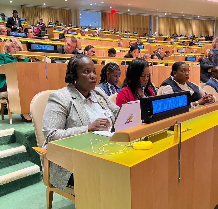 Minister Clarke addresses Member States of the United Nations at a Leaders Dialogue of the SDG Summit