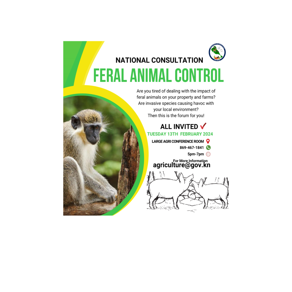 DEPARTMENT OF AGRICULTURE ST. KITTS GEARING UPTO HOST NATIONAL CONSULTATION TO ADDRESSFERAL ANIMAL CONTROL CONCERNS