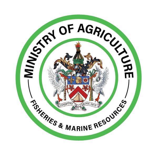 AGRICULTURE MINISTRY REMINDS FARMERS AND FISHERS OF ESSENTIAL INSURANCE CONSULTATIONS THIS WEEK