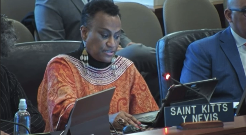OAS Permanent Council Commemorates International Day of Remembrance of the Victims of the Transatlantic Slave Trade: Saint Kitts and Nevis Delegation Delivers Statement on Education and Socioeconomic Empowerment