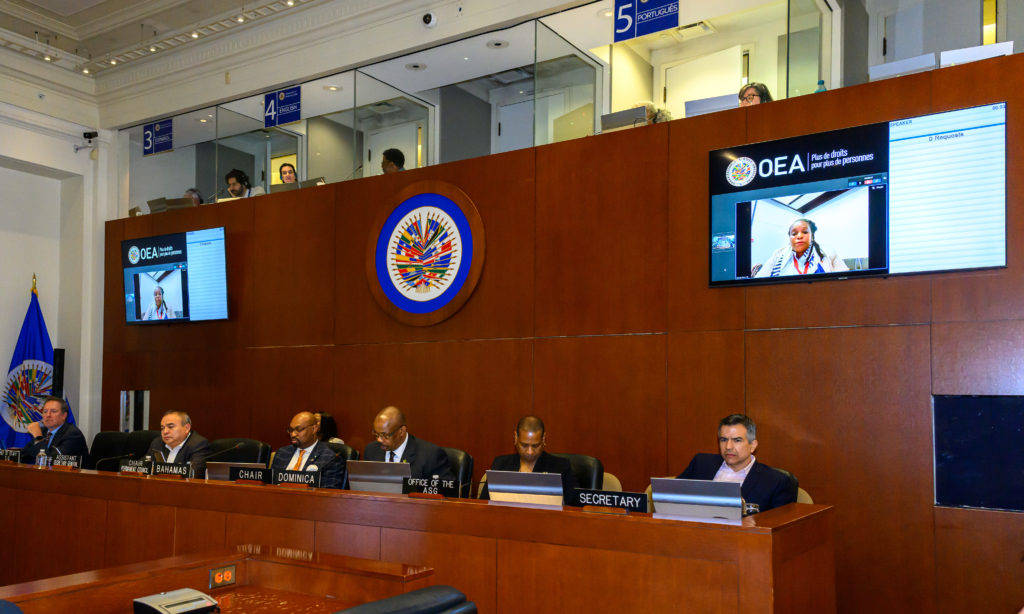 MINISTER OF ENVIRONMENT AND CLIMATE ACTION HONOURABLE DR. JOYELLE CLARKE CALLS FOR URGENT MULTILATERAL ACTION TO ADDRESS THE MULTI-DIMENSIONAL ENVIRONMENTAL CRISIS