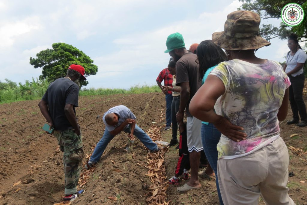 SKN FARMERS GAIN KNOWLEDGE ON INNOVATIVE TECHNOLOGIES FROM FAO AND AMEXICID SOLAR PUMP & IRRIGATION SYSTEMS WORKSHOP