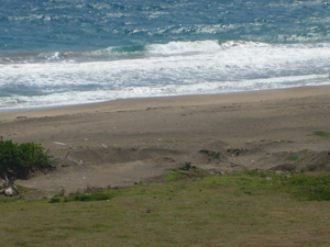 Urgent Call to Address Illegal Sand Mining in St. Kitts and Nevis