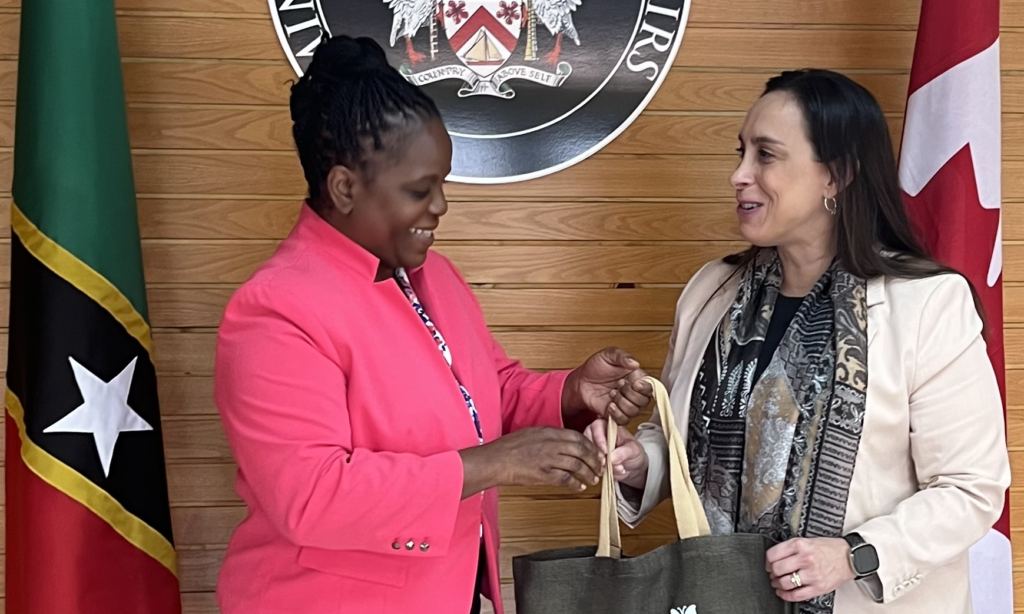 High Commissioner of Canada Pays Courtesy Call on Permanent Secretary of Foreign Affairs