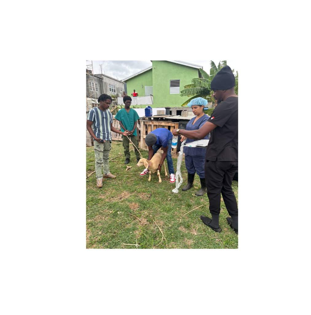 DEPARTMENT OF AGRICULTURE FOSTERS YOUTH ENGAGEMENT IN AGRICULTURE AND VETERINARY MEDICINE