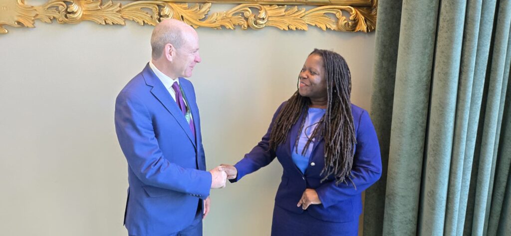 St. Kitts and Nevis’ Ambassador to the UN Appointed Co-facilitator of the Revitalization of the Commission on the Status of Women at the UN