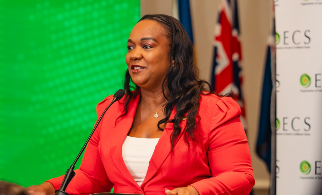 MINISTER HENDERSON ASSUMES CHAIRMANSHIP OF THE OECS COUNCIL OF MINISTERS FOR TOURISM AT 9TH MEETING IN SAINT KITTS